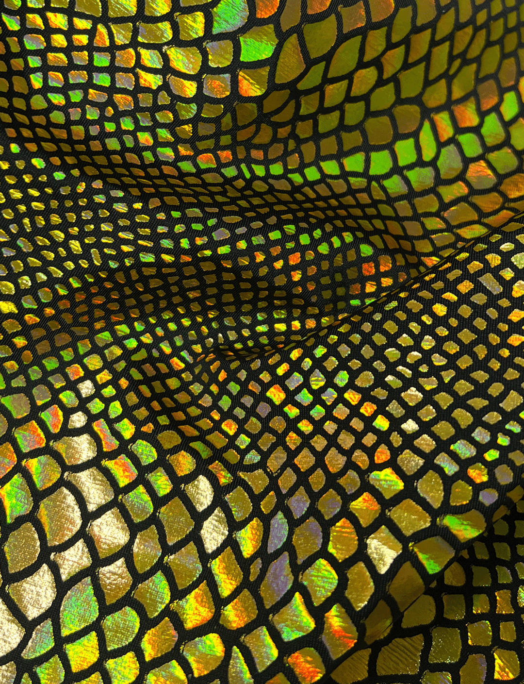 Gold Holo Snake Foil Swatch (1)